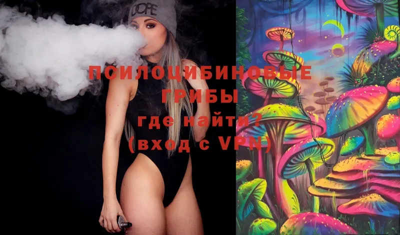 Галлюциногенные грибы Psilocybe  Краснознаменск 